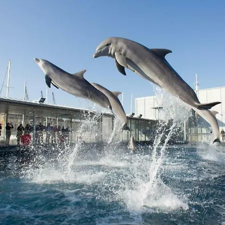 Nervi Cozy Loft Sapore Di Mare Vicino Acquario Di * ジェノヴァ